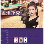 在线德州扑克游戏平台