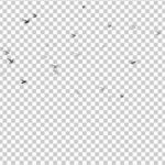 PDm3H6